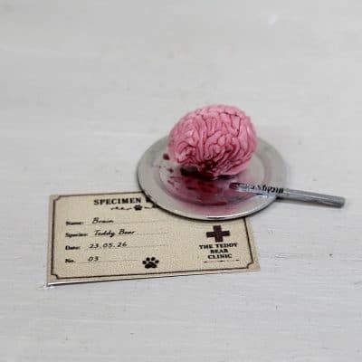 Zelf beschilderde miniatuur hersenen op schaaltje met specimenkaartje - 1:12