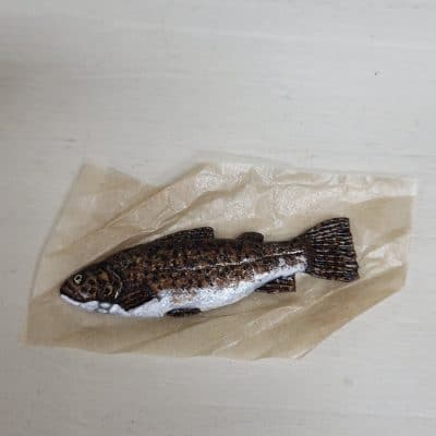 Handgemaakte en handbeschilderde miniatuur forel op papier voor poppenhuis - 1:12